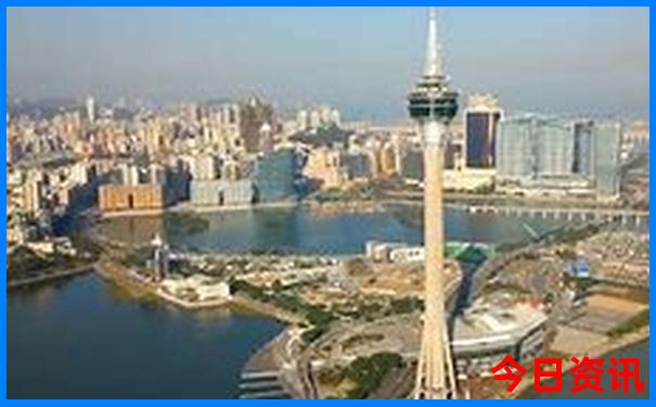 大乐透专家精准预测